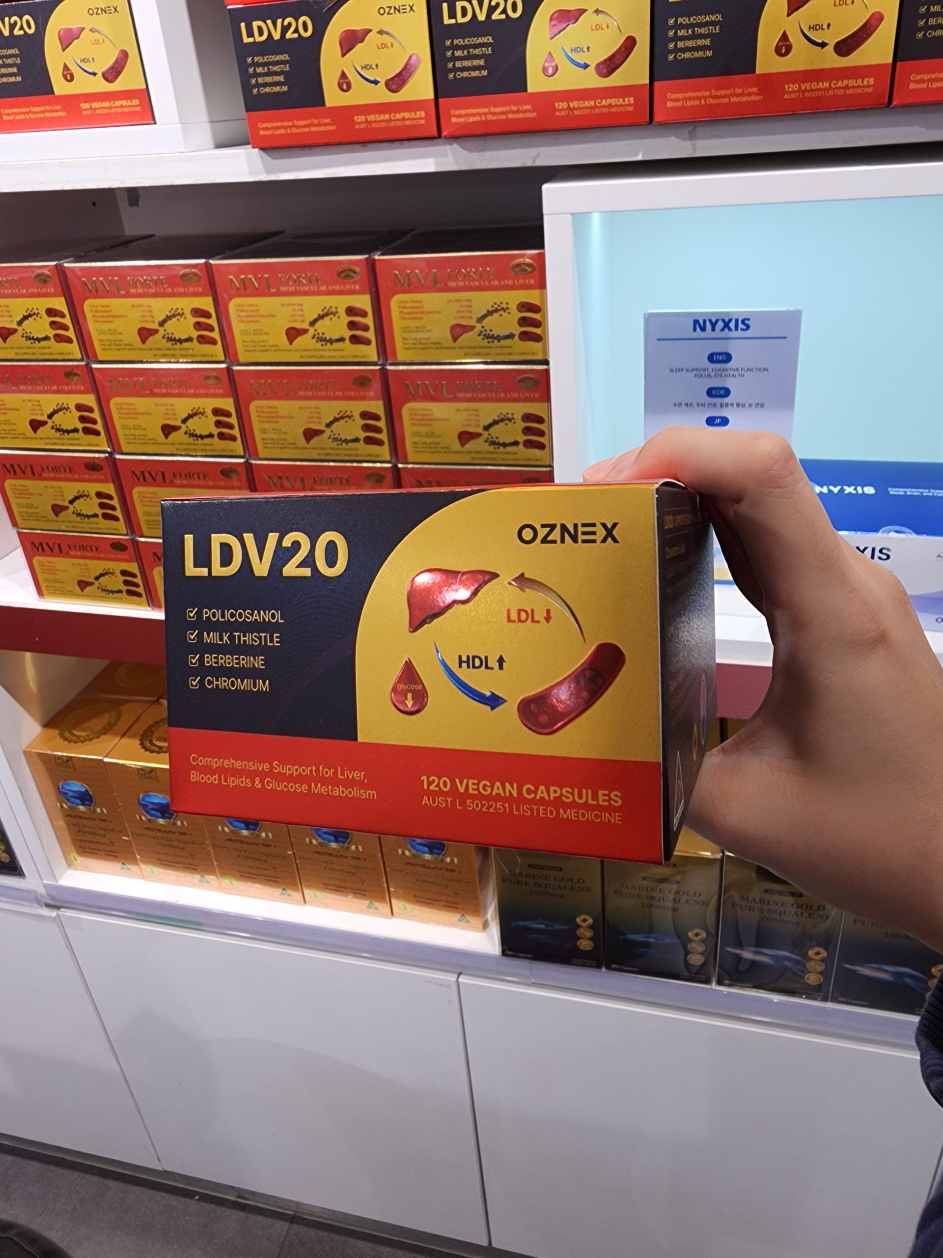 LDV20 부모님 선물