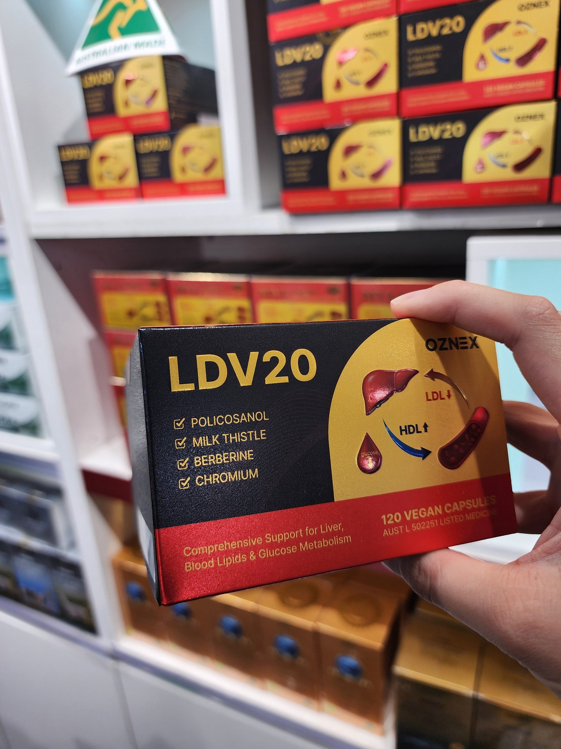 LDV20 부모님 선물