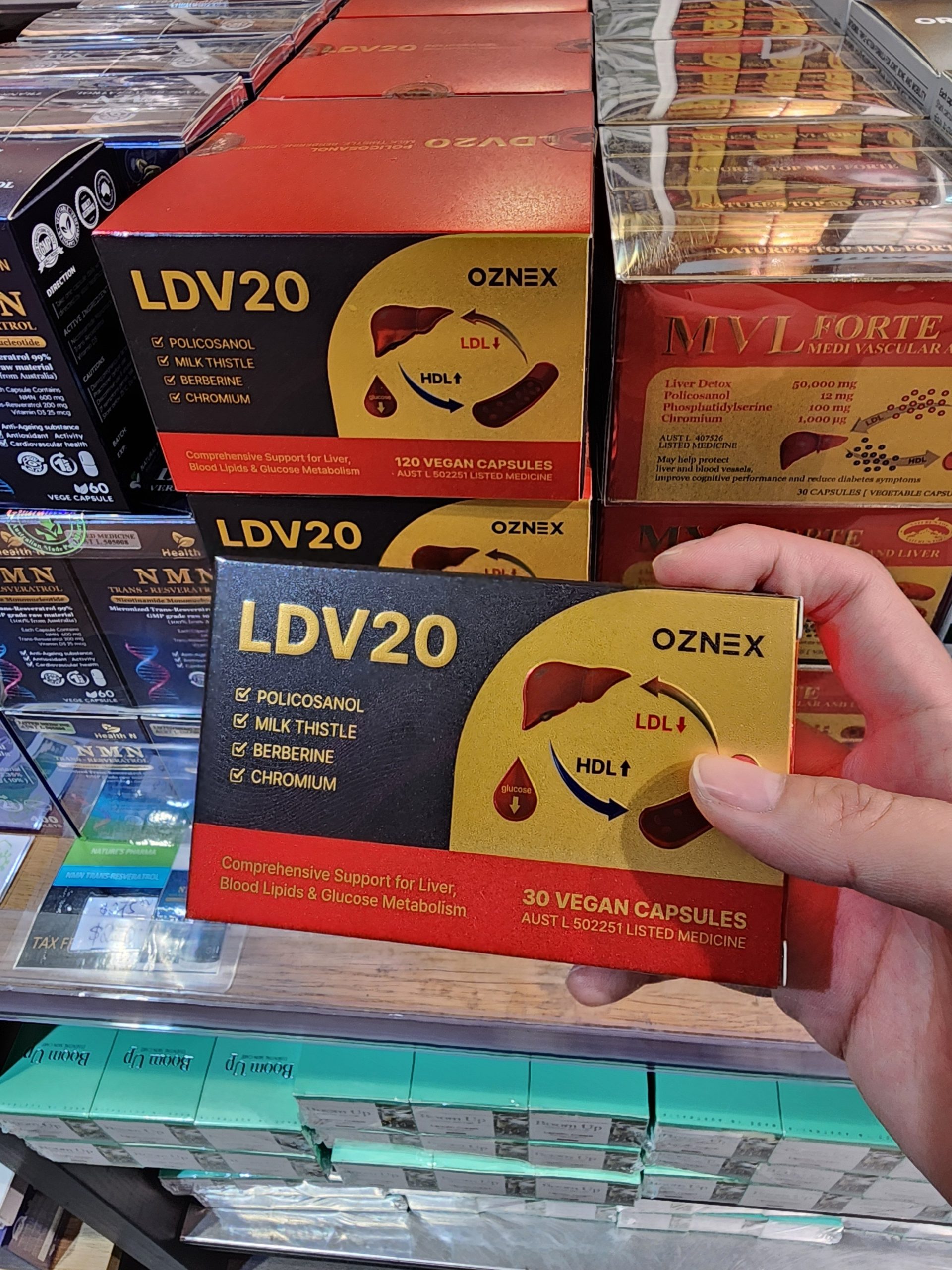 LDV20 부모님 선물