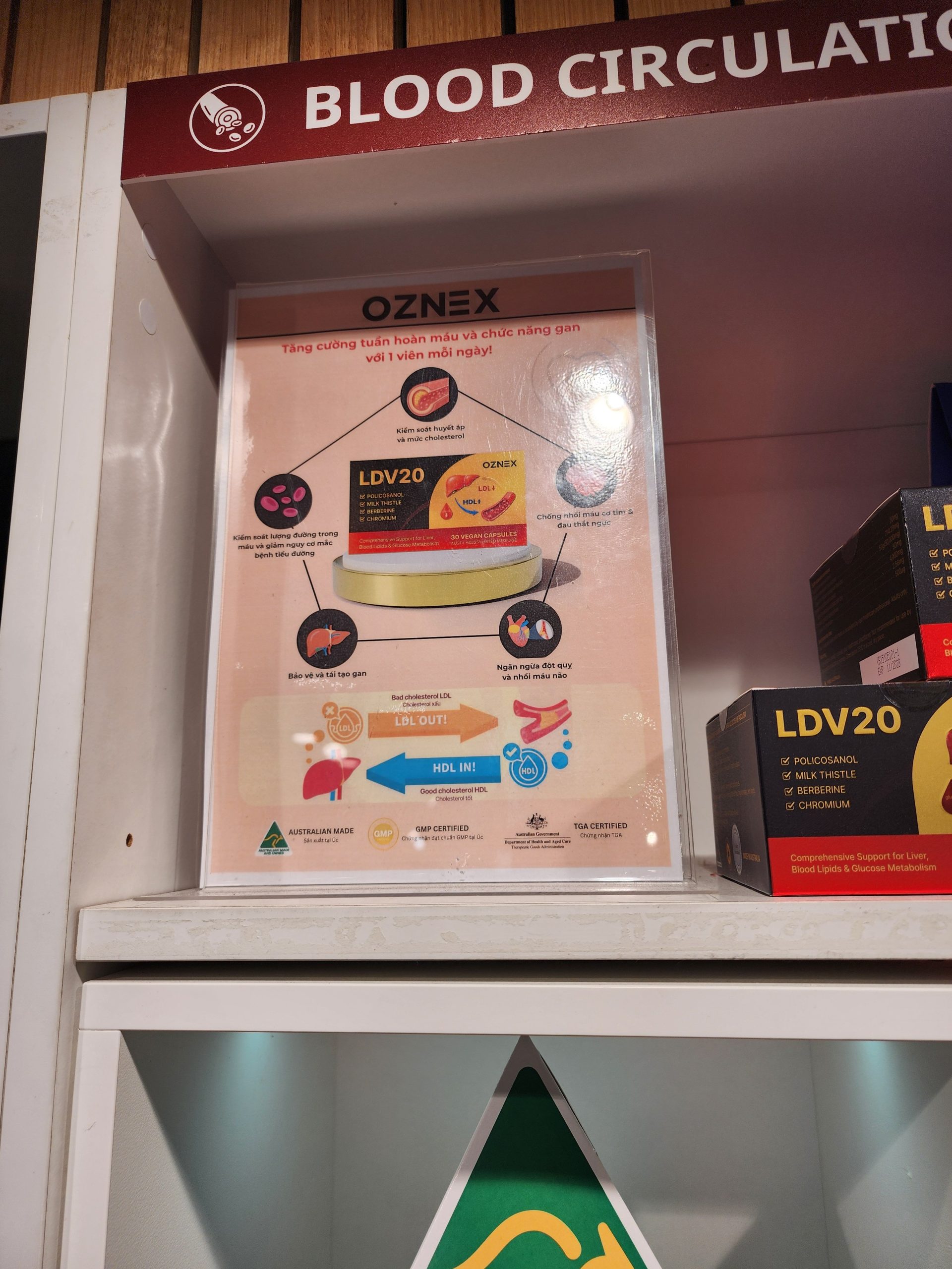 LDV20 부모님 선물