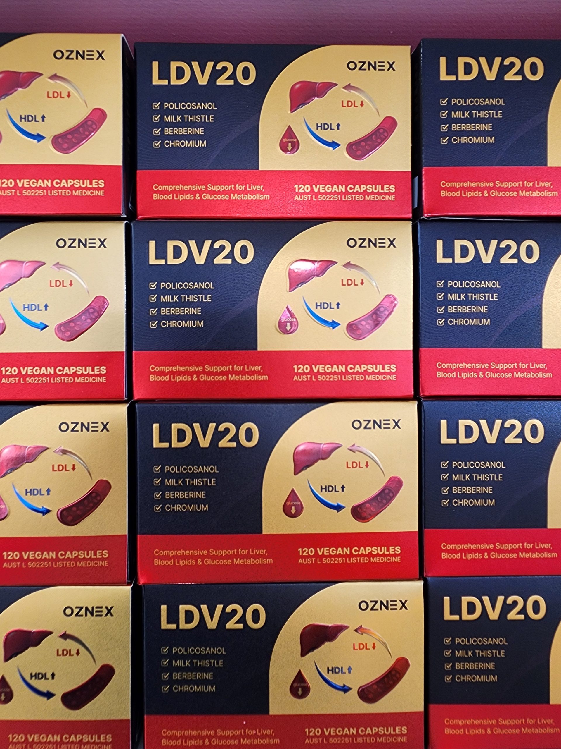 LDV20 부모님 선물