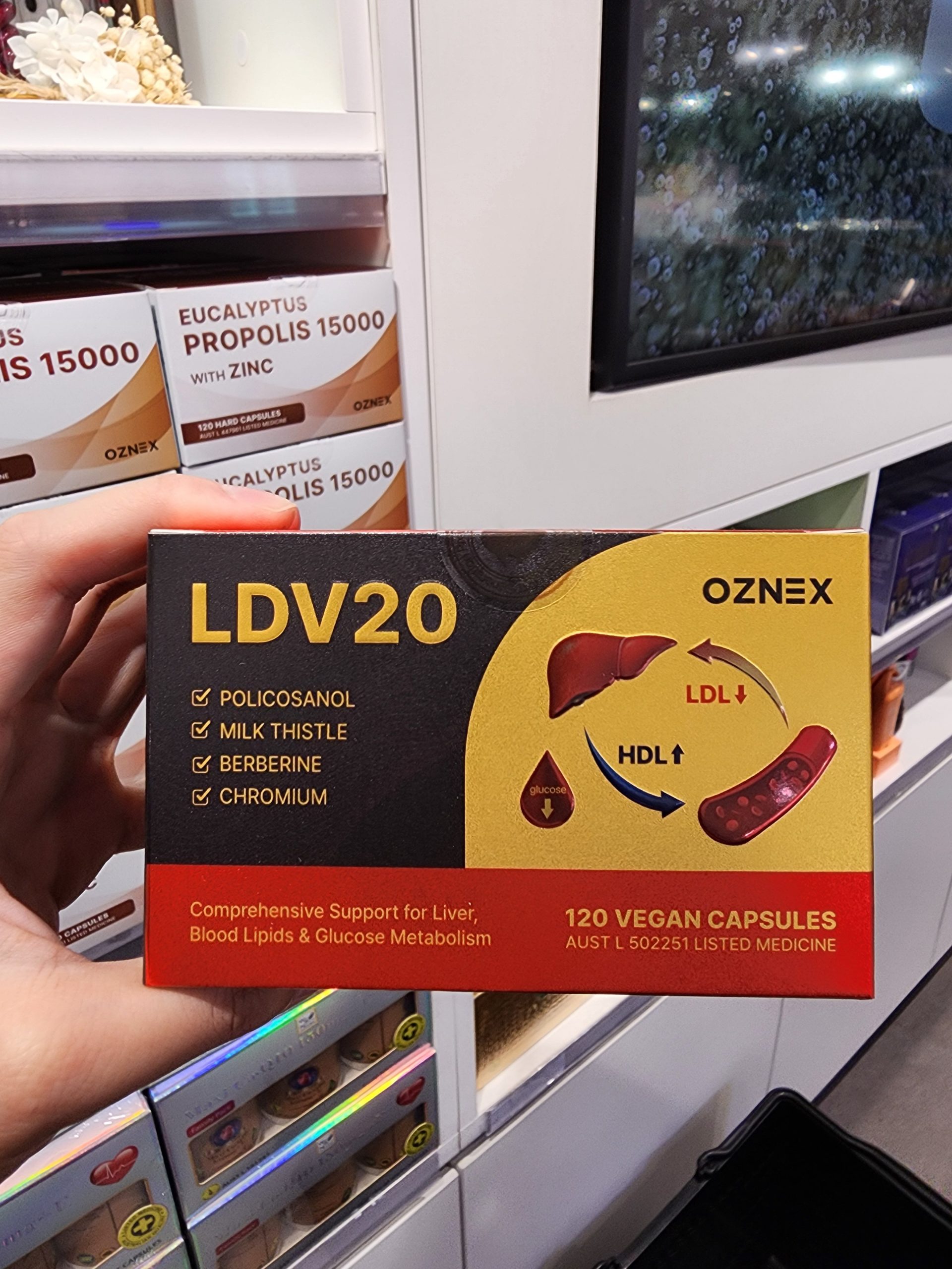 LDV20 부모님 선물
