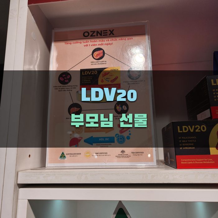 부모님 선물로 LDV20의 장점