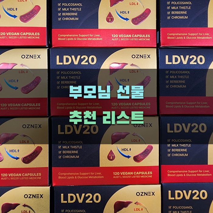 부모님 선물 추천 리스트