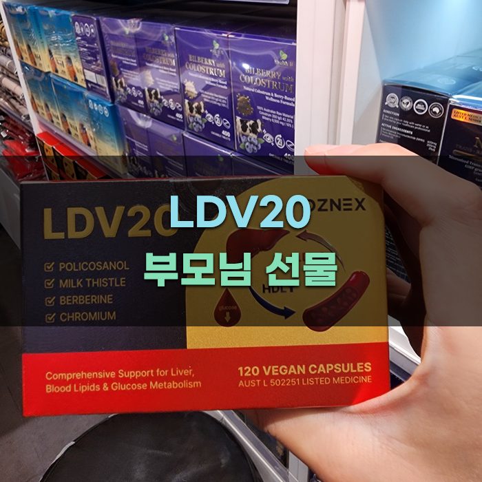 LDV20으로 부모님께 전하는 사랑