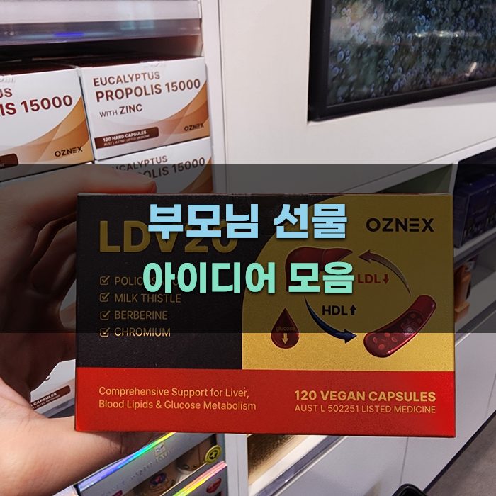 부모님 선물 아이디어 모음