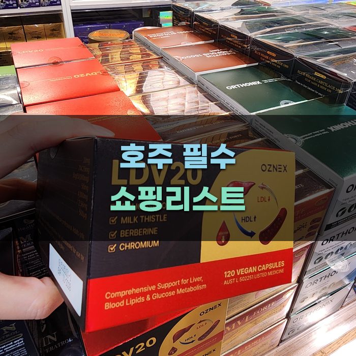호주 여행 필수 아이템과 쇼핑 팁