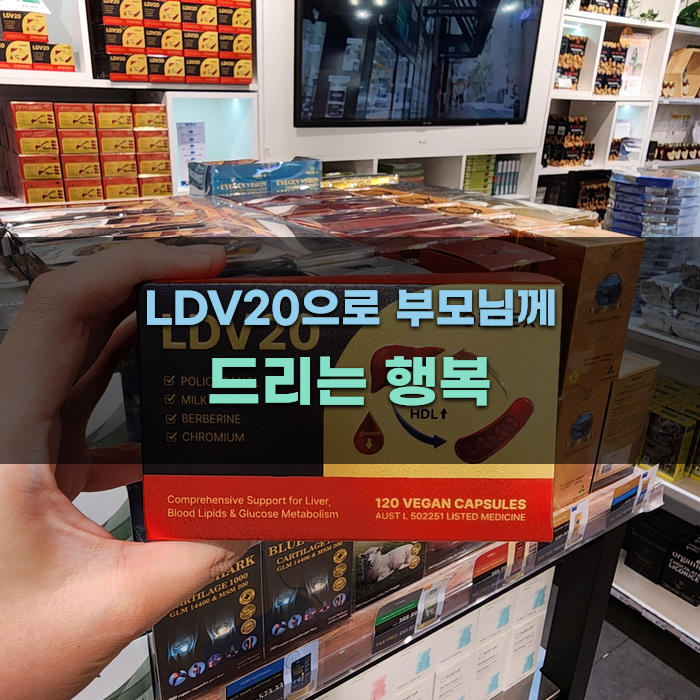 LDV20으로 부모님께 드리는 행복