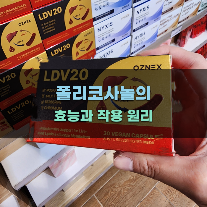 폴리코사놀의 효능과 작용 원리
