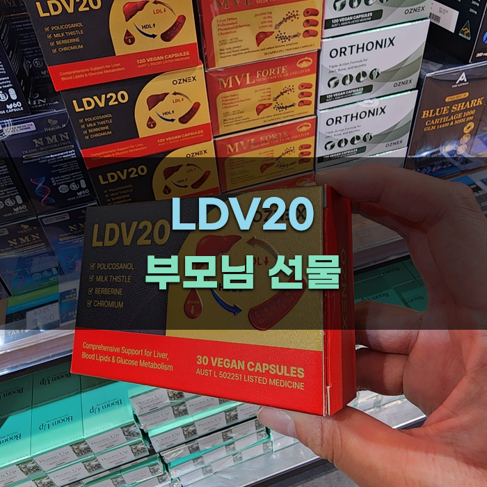 LDV20을 활용한 부모님 건강 관리 팁