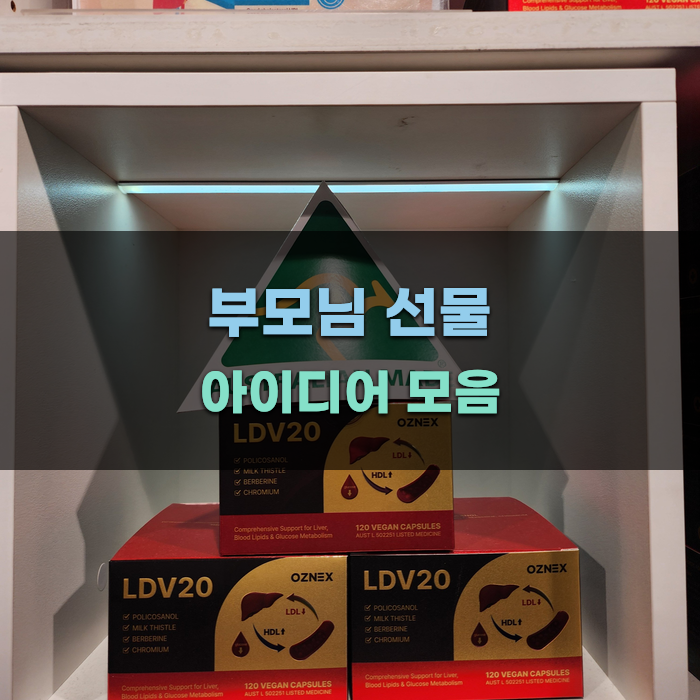 부모님 선물 아이디어 모음