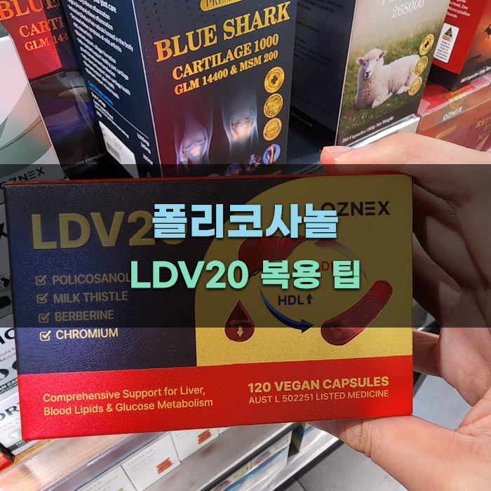 폴리코사놀 LDV20 팁
