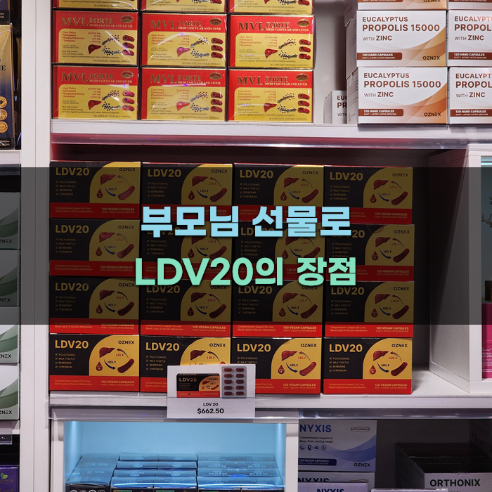 부모님 선물로 LDV20의 장점