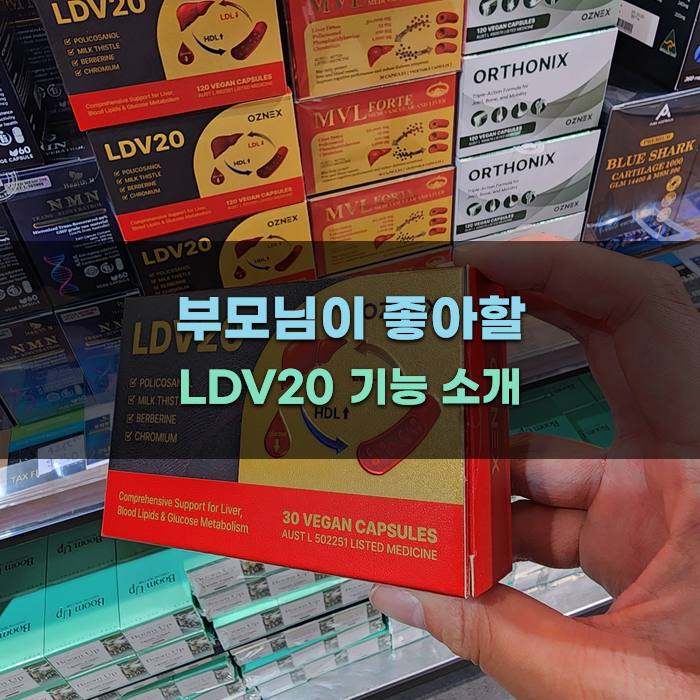 부모님이 좋아할 LDV20 기능 소개