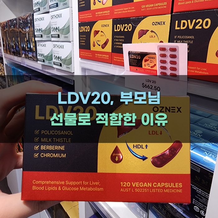 LDV20, 부모님 선물로 적합한 이유