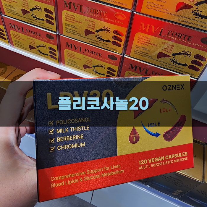 폴리코사놀20의 효능과 효과 분석